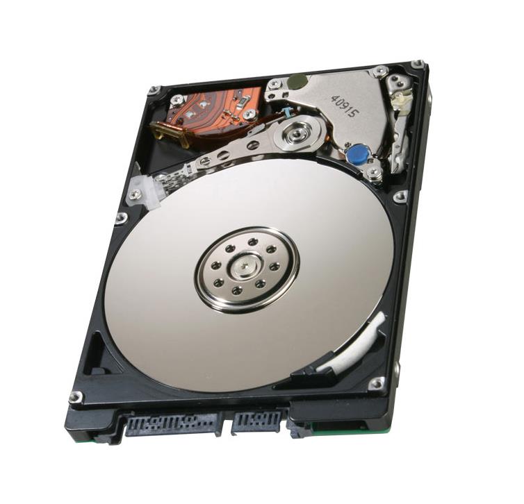 081YCX | Dell 1TB 7200RPM SATA 3GB/s 2.5-inch Hard Drive for PowerEdge M620 Server