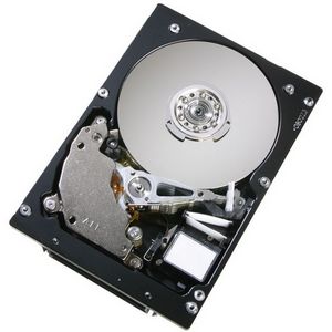 0B21254 | HGST Ultrastar 15K147 HUS151436VL3800 36 GB 3.5 Internal Hard Drive - Ultra320 SCSI - 15000 rpm - 16 MB Buffer