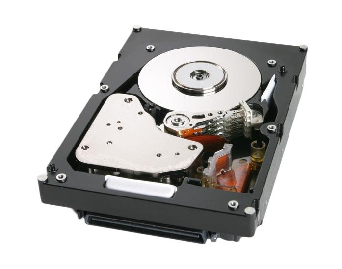 42R6684 | IBM 69.7GB 15000RPM SAS 3Gbps 16MB Cache 3.5-inch Internal Hard Drive