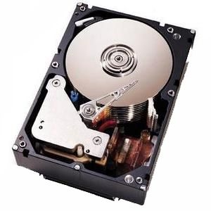 90P1305 | IBM 73.4GB 10000RPM Ultra-320 SCSI 3.5-inch Hard Drive with Tray