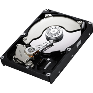 HD103SJ/EXP | Samsung Spinpoint HD103SJ 1 TB 3.5 Internal Hard Drive - SATA/300 - 7200 rpm - 32 MB Buffer