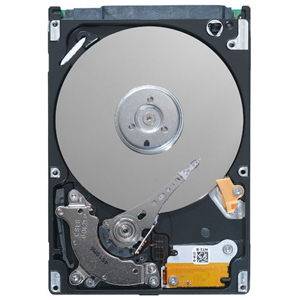 R037N | Dell 320 GB 2.5 Plug-in Module Hard Drive - SATA/300 - 5400 rpm - 8 MB Buffer - Hot Swappable