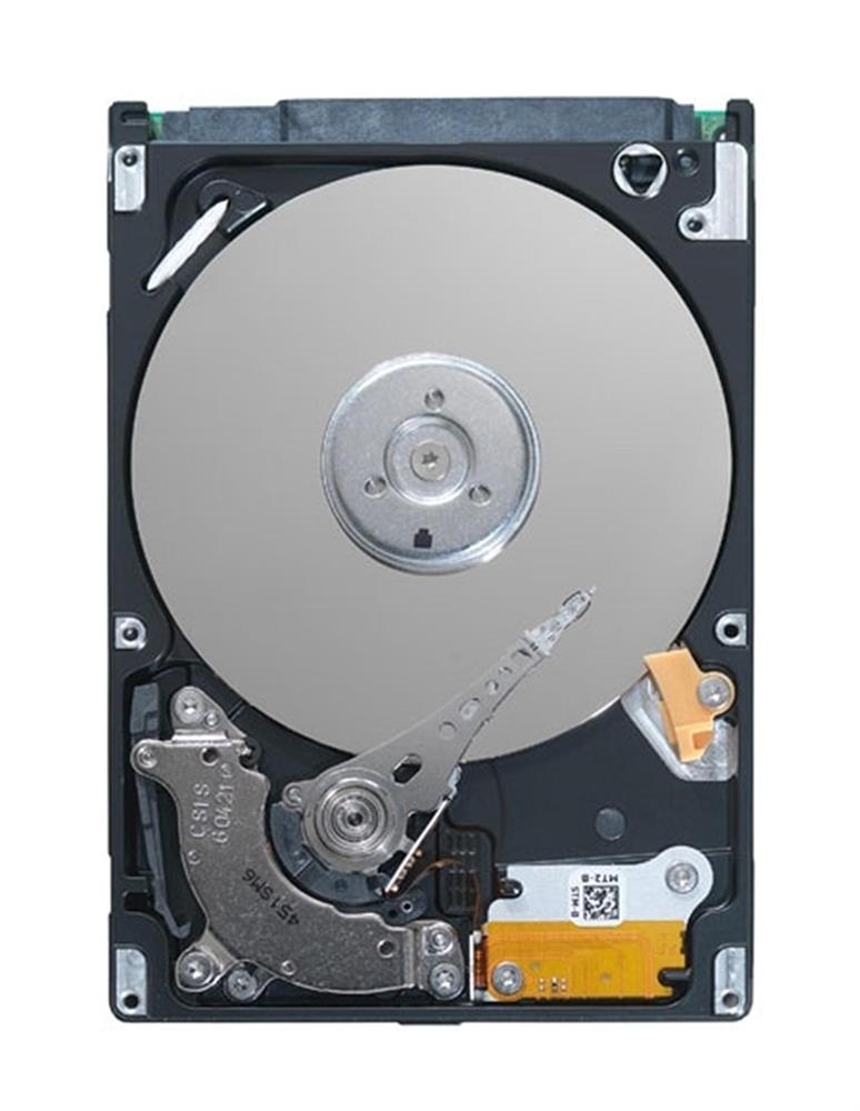 ST31000524NS | Seagate Constellation ES 1TB 7200RPM SATA 3Gb/s 32MB Cache 3.5-inch Internal Hard Drive