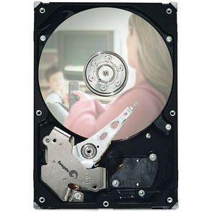ST3250820SCE | Seagate DB35.3 250 GB Internal Hard Drive - SATA/300 - 7200 rpm - 8 MB Buffer