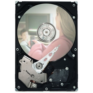 ST3300820ACE | Seagate DB35 300 GB Internal Hard Drive - IDE Ultra ATA/100 (ATA-6) - 7200 rpm - 8 MB Buffer