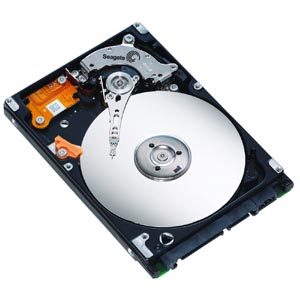 ST930218A | Seagate Momentus 4200.2 30 GB 2.5 Internal Hard Drive - IDE Ultra ATA/100 (ATA-6) - 4200 rpm - 8 MB Buffer