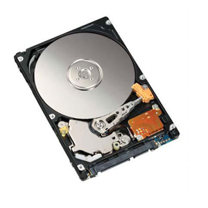 T369G | Dell 250 GB 2.5 Plug-in Module Hard Drive - SATA/300 - 5400 rpm - 8 MB Buffer - Hot Swappable
