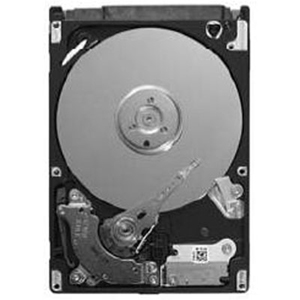 U006N | Dell 250 GB 2.5 Plug-in Module Hard Drive - SATA/300 - 7200 rpm - 16 MB Buffer - Hot Swappable