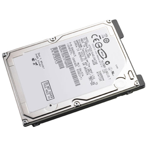 U810H | Dell 40 GB Internal Hard Drive