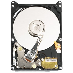 WD1000UE | Western Digital Scorpio 100 GB 2.5 Internal Hard Drive - IDE Ultra ATA/100 (ATA-6) - 5400 rpm - 2 MB Buffer