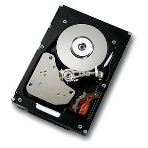 08K2411 | Hitachi Ultrastar 15K73 HUS157336ELF200 36.9 GB 3.5 Internal Hard Drive - Fibre Channel - 15037 rpm