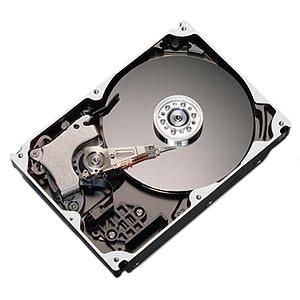 L01J080G | Maxtor DiamondMax Plus D740X 80 GB 3.5 Internal Hard Drive - 1 Pack - Retail - IDE Ultra ATA/133 (ATA-7) - 7200 rpm - 2 MB Buffer