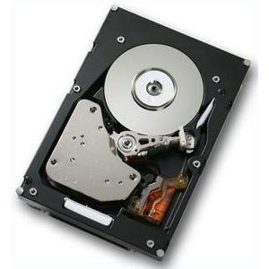 17R6285 | Hitachi Ultrastar 10K300 HUS103014FLF210 147 GB 3.5 Internal Hard Drive - Fibre Channel - 10025 rpm - 16 MB Buffer